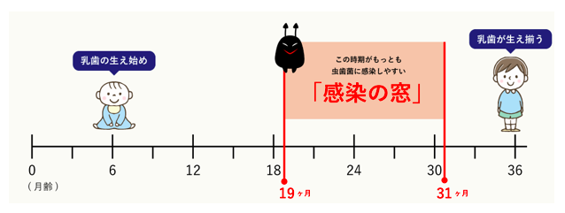 一生虫歯になりにくい方法 南千住の矯正歯科 南千住小児歯科矯正歯科 土日診療 南千住の矯正歯科専門医院 南千住小児歯科矯正歯科